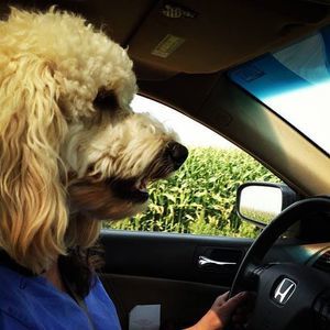 Meet your Posher, Louise